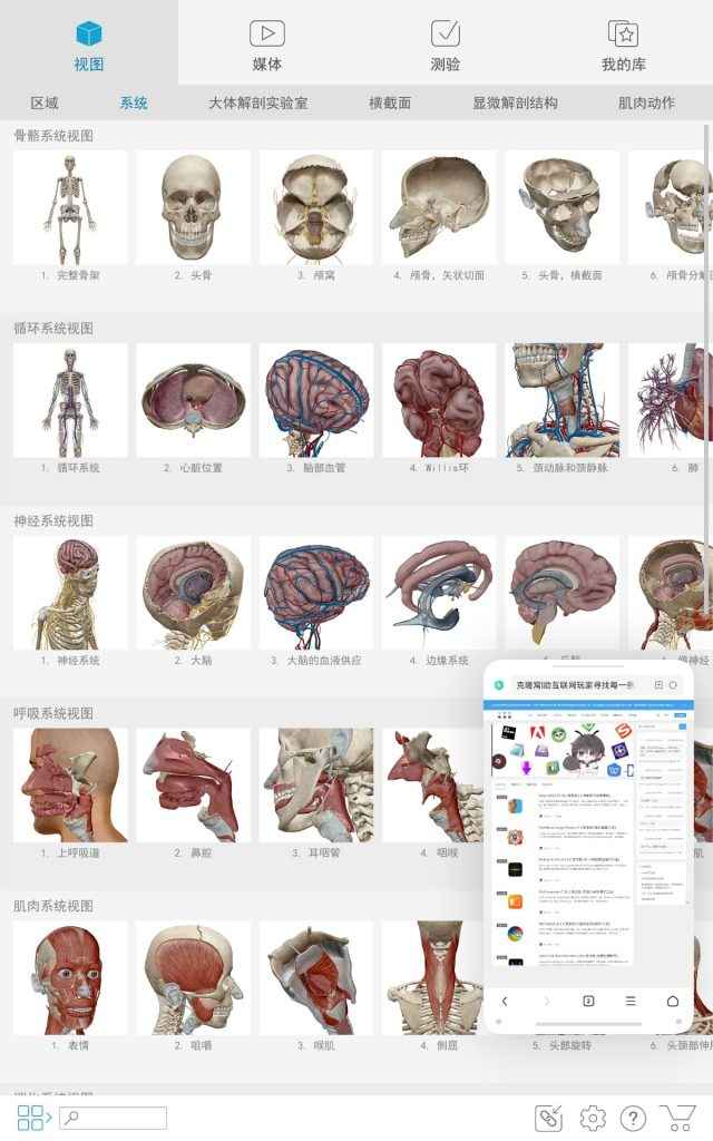 Atlas v2023.04.011 解锁版 (人体解剖学图谱模型)  第1张 Atlas v2023.04.011 解锁版 (人体解剖学图谱模型)  第1张