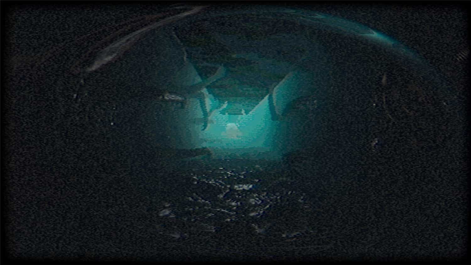 塑形变异/Plastomorphosis  第2张 塑形变异/Plastomorphosis  第2张