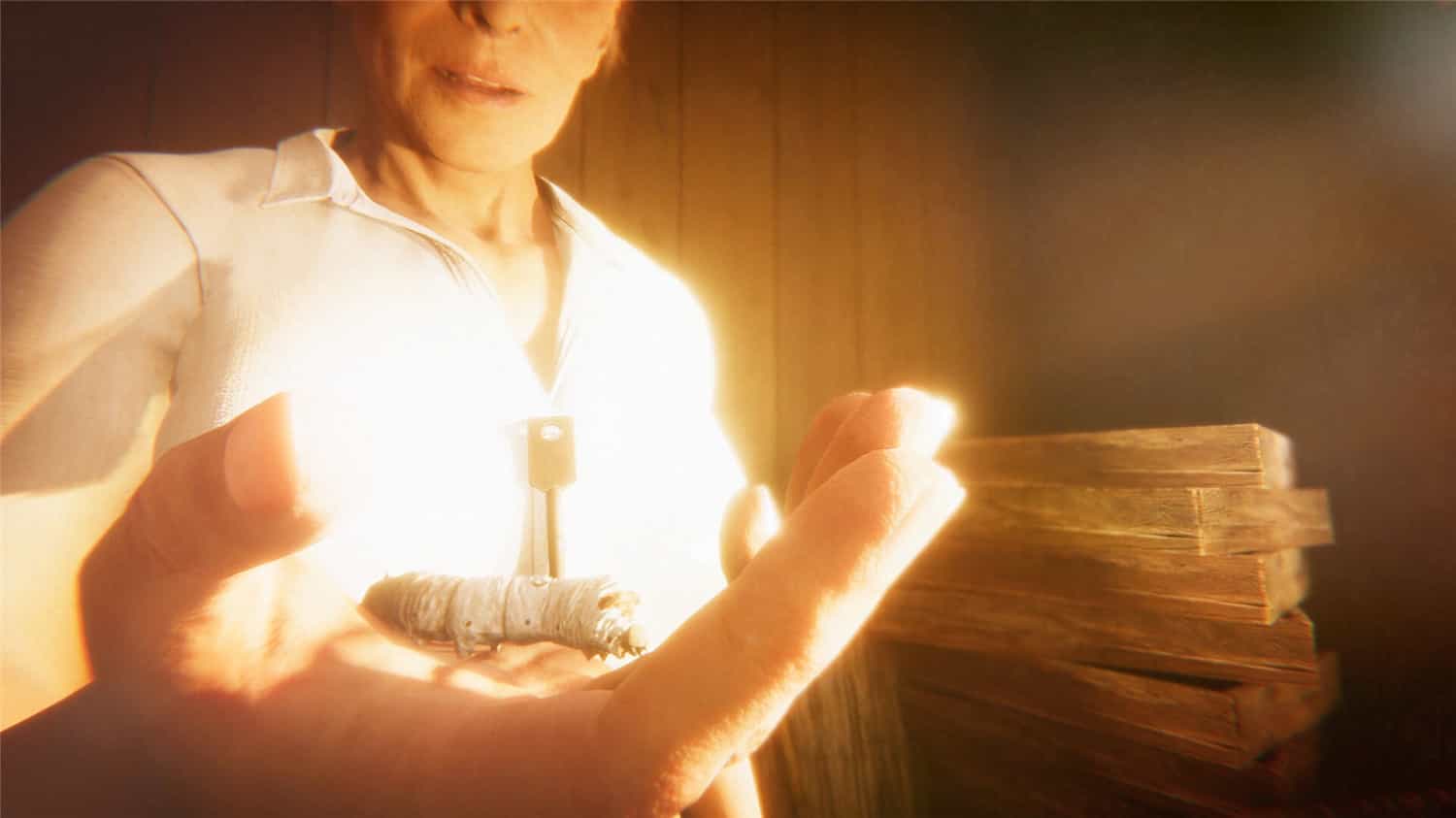 茧中蚕/Hollow Cocoon 第1张 茧中蚕/Hollow Cocoon 第1张