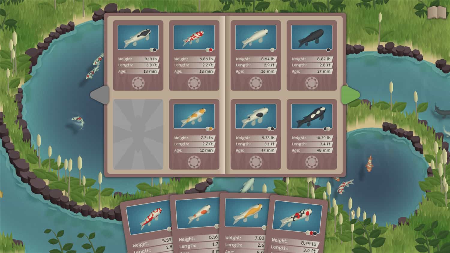 锦鲤养殖场/Koi Farm 第2张 锦鲤养殖场/Koi Farm 第2张