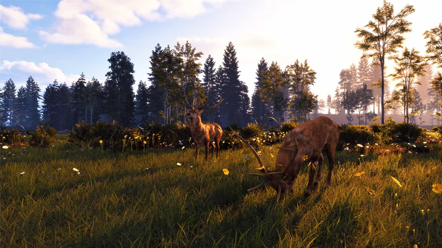 风暴:深厚友谊的开始 重制版/Windstorm: Start of a Great Friendship - Remastered 第2张 风暴:深厚友谊的开始 重制版/Windstorm: Start of a Great Friendship - Remastered 第2张