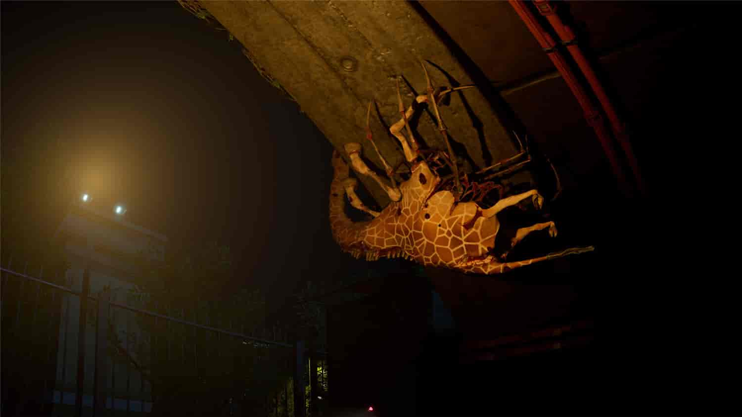 癫狂动物园/Zoochosis 第1张 癫狂动物园/Zoochosis 第1张