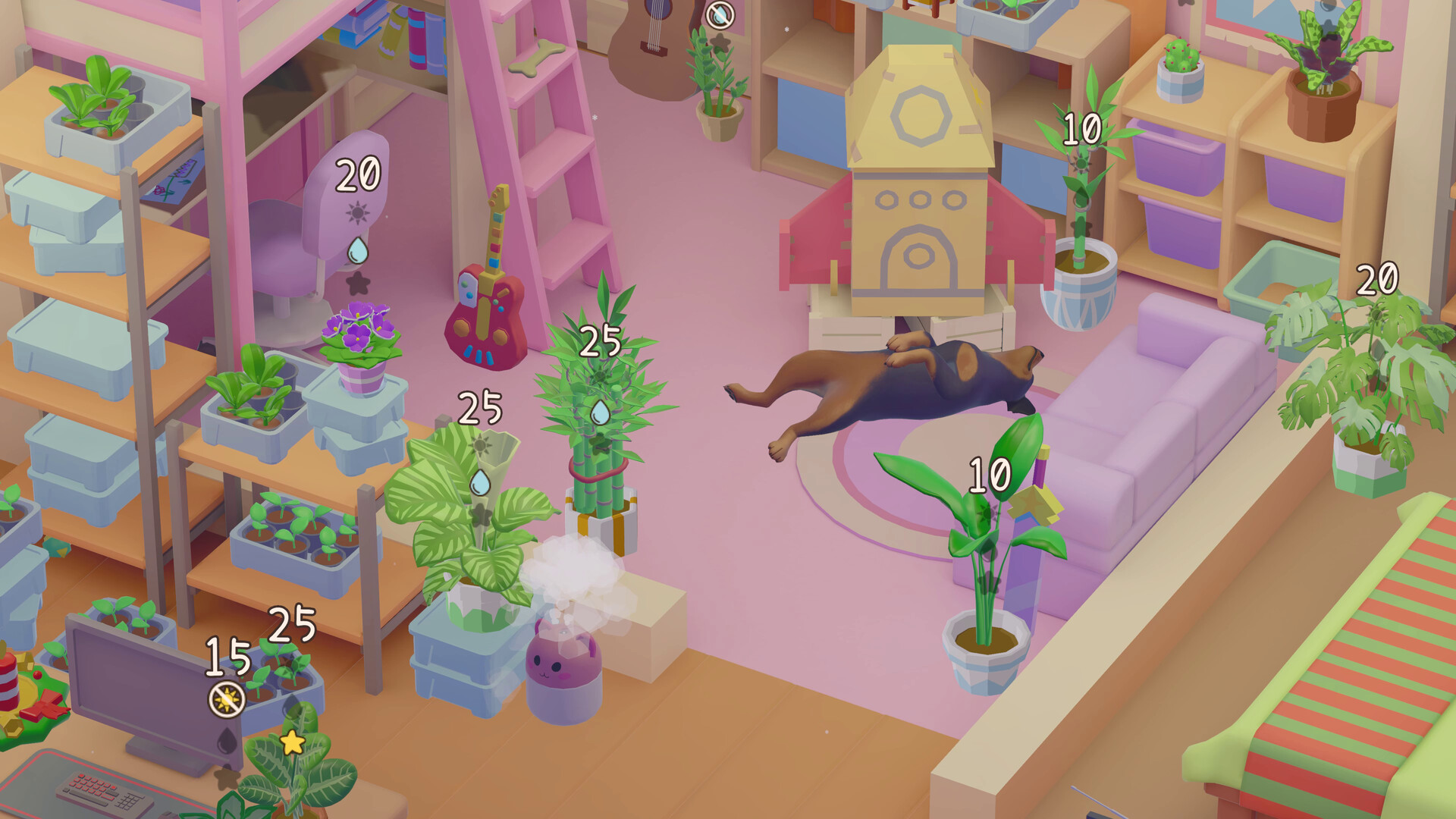 我的小绿屋/Urban Jungle  第2张 我的小绿屋/Urban Jungle  第2张