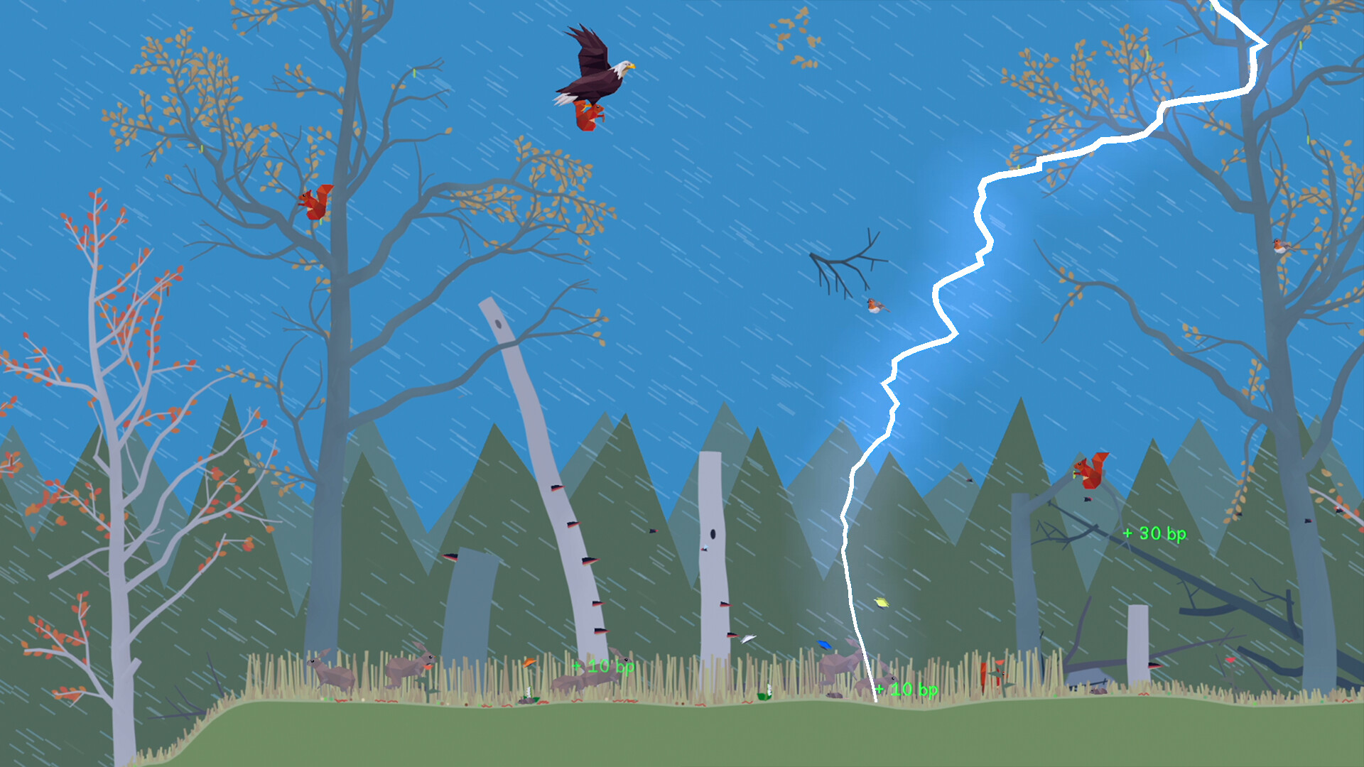 小松林/PolyPine  第1张 小松林/PolyPine  第1张