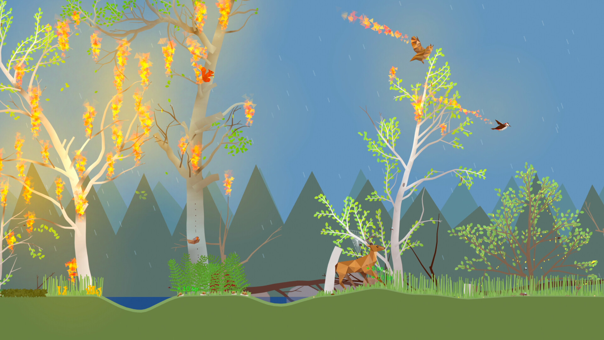 小松林/PolyPine  第2张 小松林/PolyPine  第2张